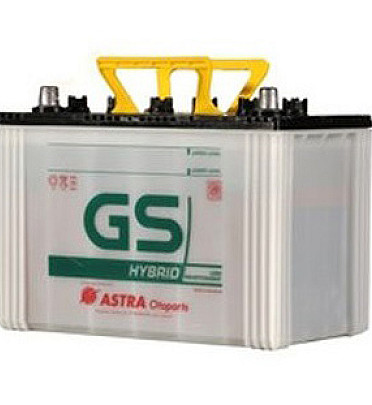 GS Hybrid N50Z
